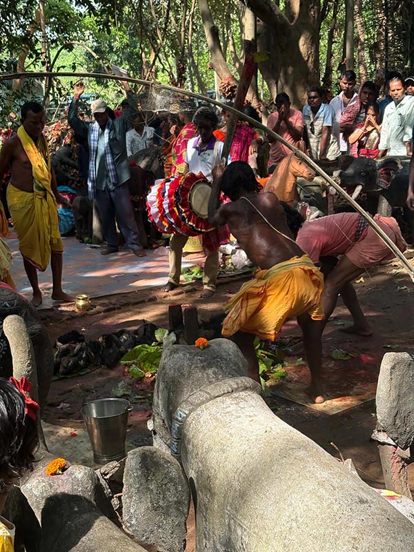 statt Fernsehen: Hühner- und Ziegenopferung