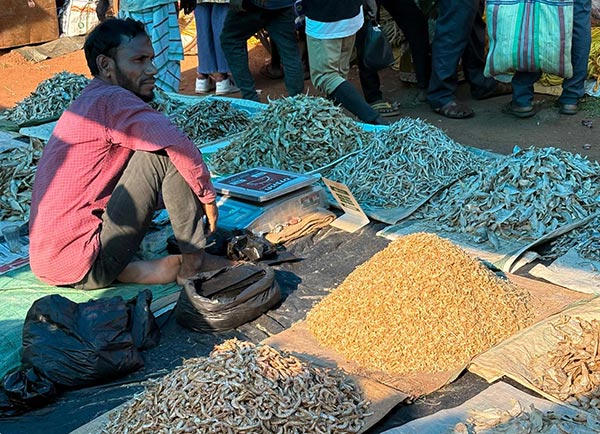 statt Fischstäbchen